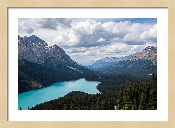 Peyto Lake Serenity