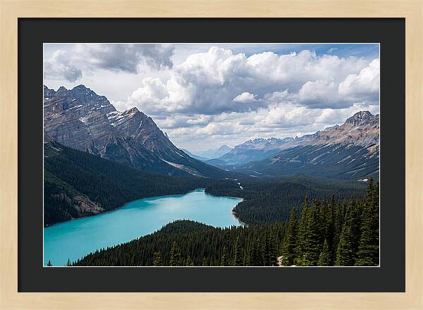 Peyto Lake Serenity