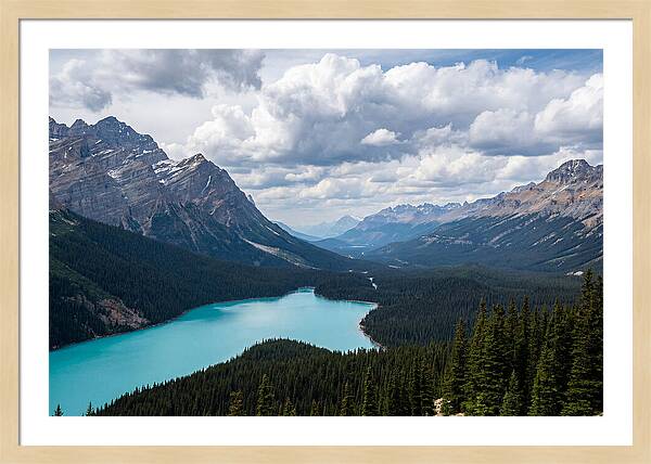 Peyto Lake Serenity