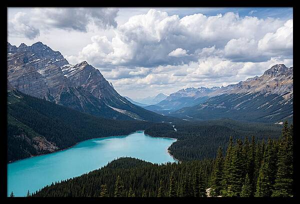 Peyto Lake Serenity