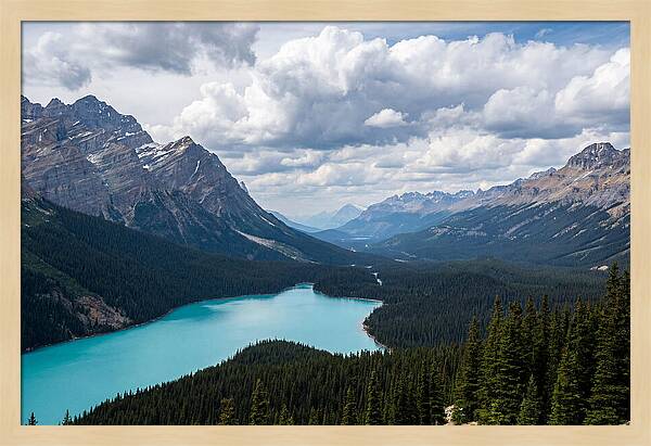 Peyto Lake Serenity