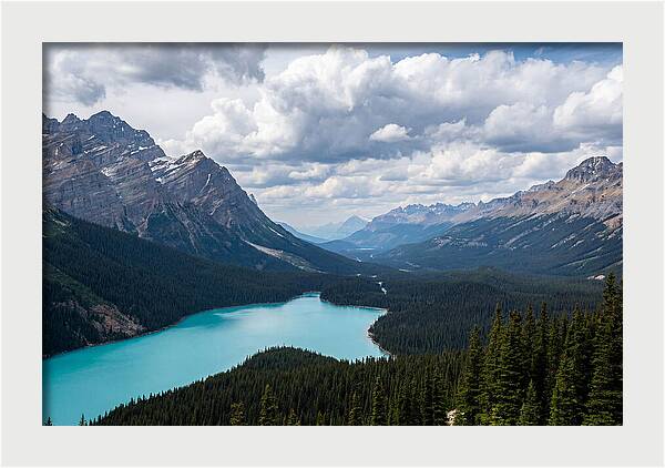 Peyto Lake Serenity