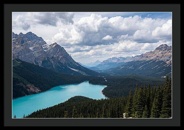 Peyto Lake Serenity