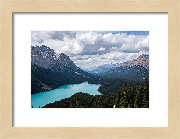 Peyto Lake Serenity