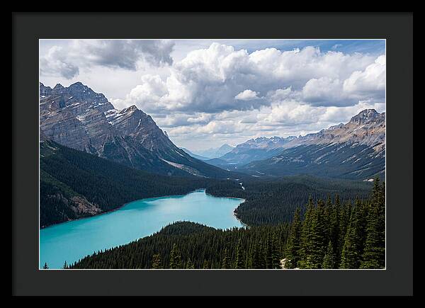 Peyto Lake Serenity