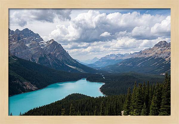 Peyto Lake Serenity