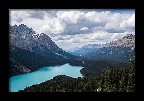 Peyto Lake Serenity