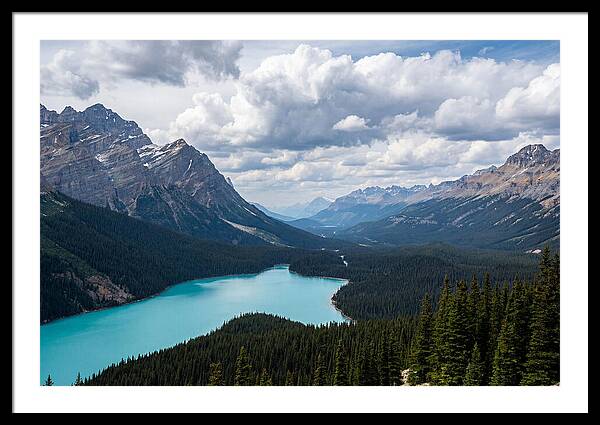 Peyto Lake Serenity