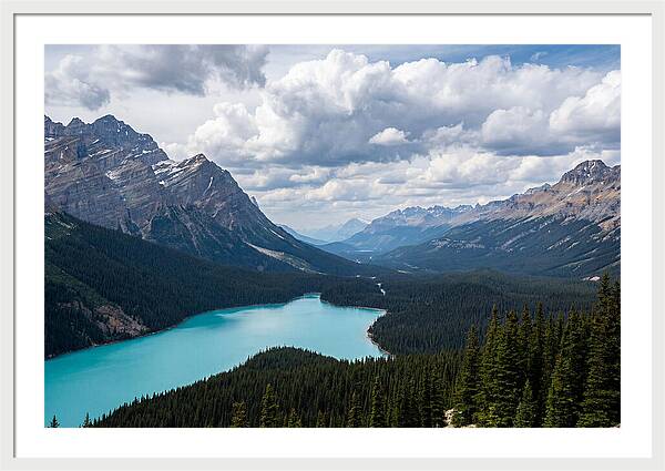 Peyto Lake Serenity