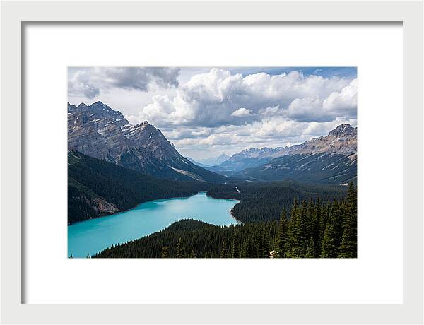 Peyto Lake Serenity