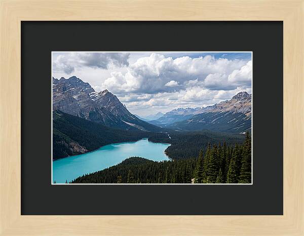 Peyto Lake Serenity