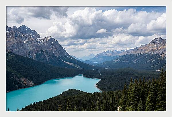 Peyto Lake Serenity