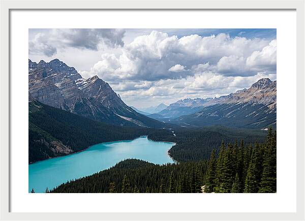 Peyto Lake Serenity