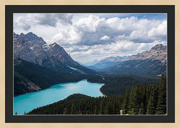 Peyto Lake Serenity
