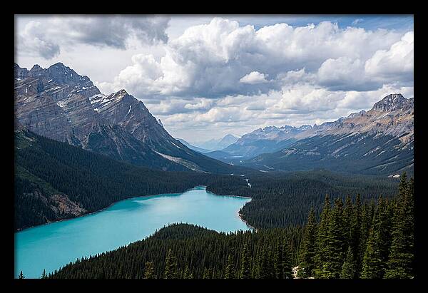 Peyto Lake Serenity