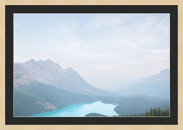 Peyto Lake Serenity