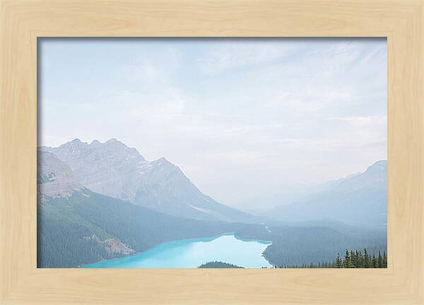 Peyto Lake Serenity