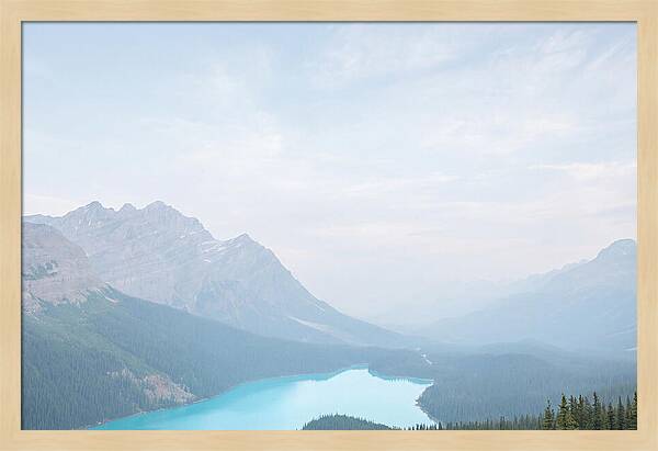 Peyto Lake Serenity