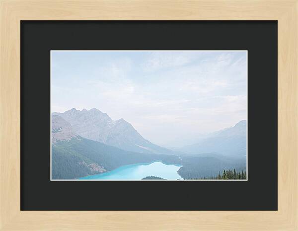 Peyto Lake Serenity