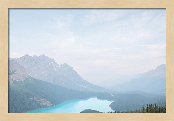 Peyto Lake Serenity