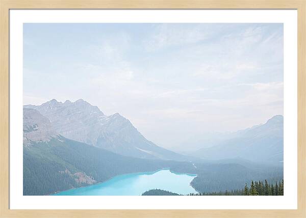 Peyto Lake Serenity