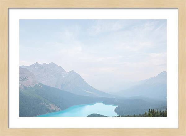 Peyto Lake Serenity