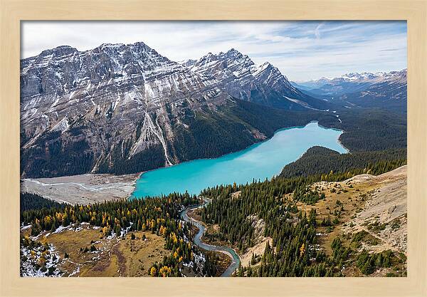 Peyto Lake Tranquil Vista