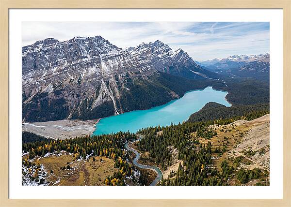 Peyto Lake Tranquil Vista