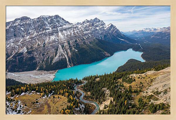 Peyto Lake Tranquil Vista