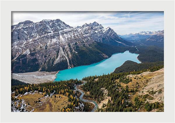 Peyto Lake Tranquil Vista
