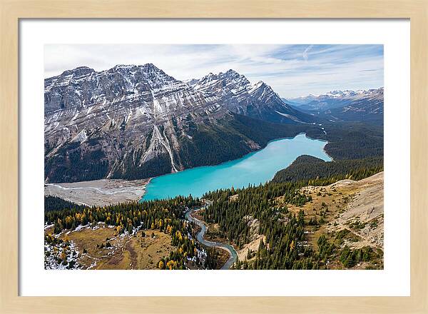 Peyto Lake Tranquil Vista