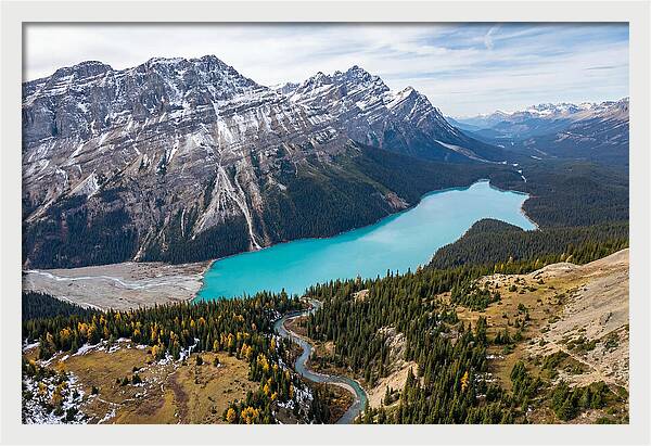 Peyto Lake Tranquil Vista