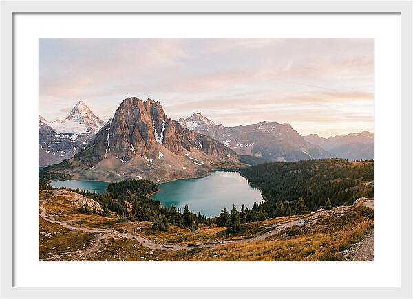 Peyto Lake Tranquility