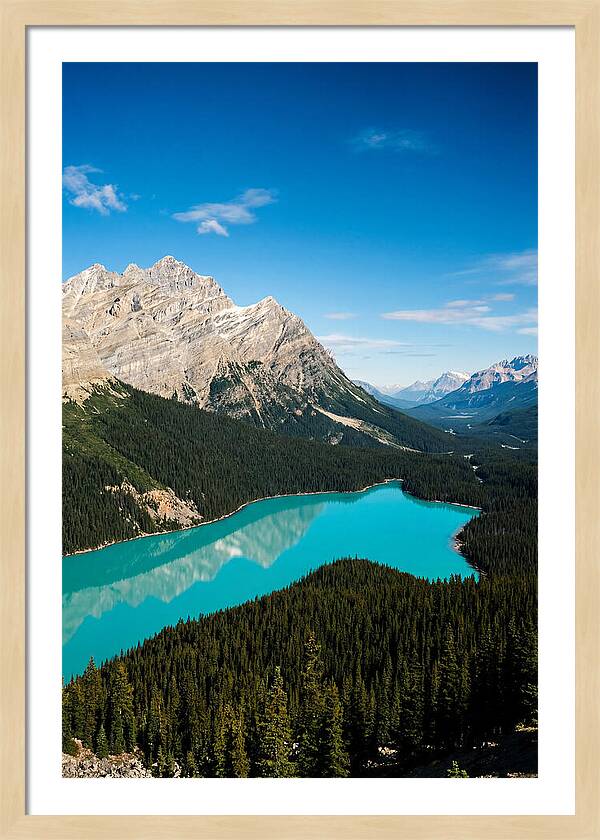 Peyto Lake Tranquility