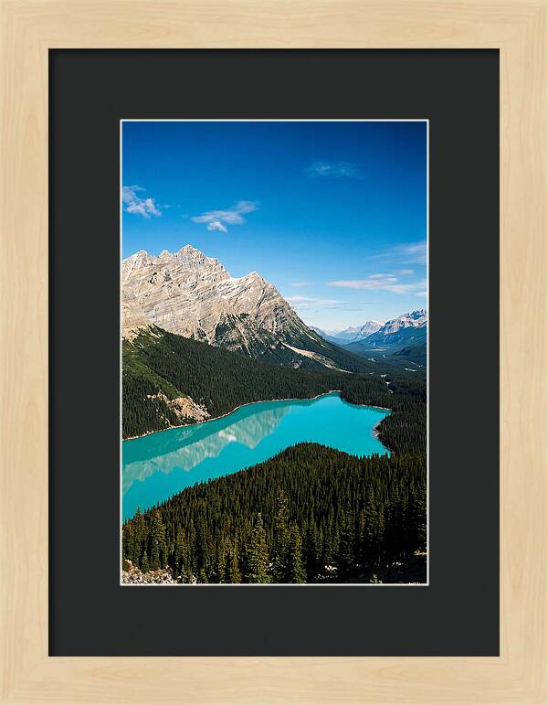 Peyto Lake Tranquility