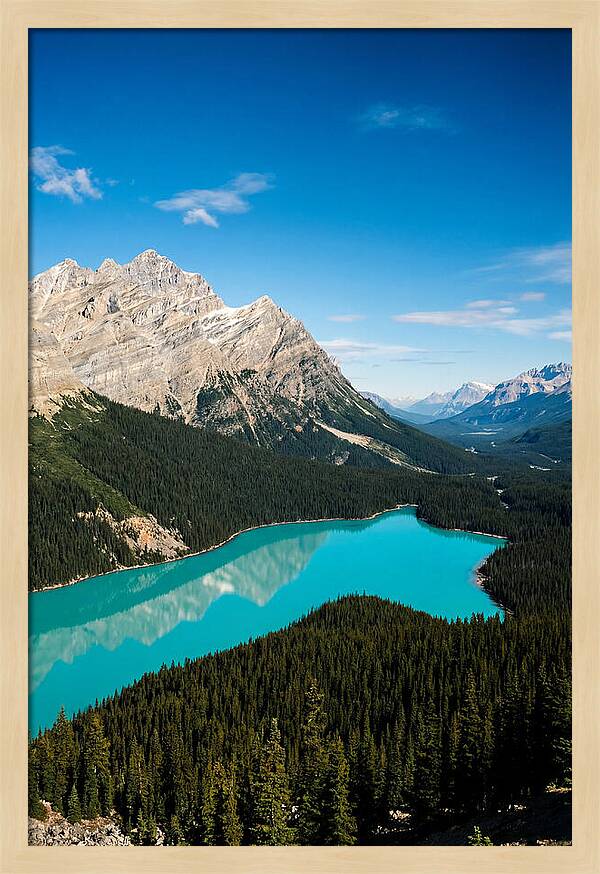 Peyto Lake Tranquility