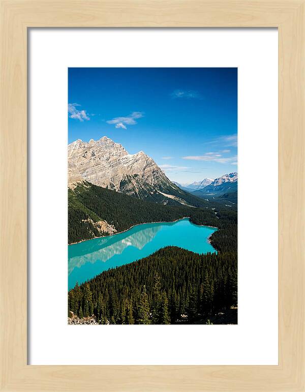 Peyto Lake Tranquility