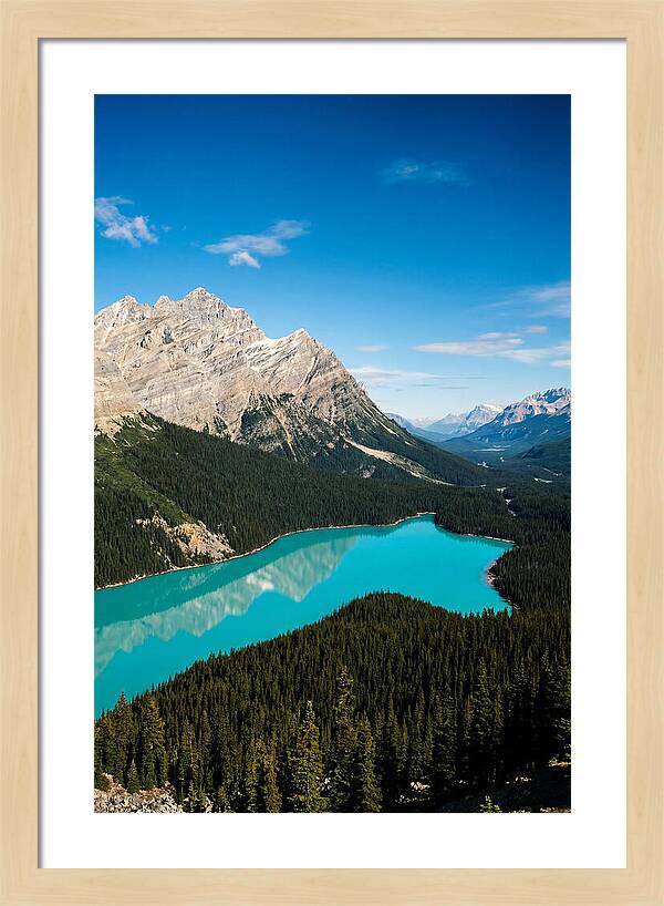Peyto Lake Tranquility