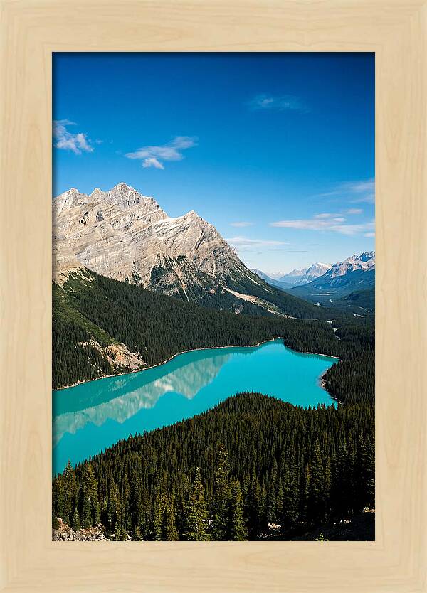 Peyto Lake Tranquility