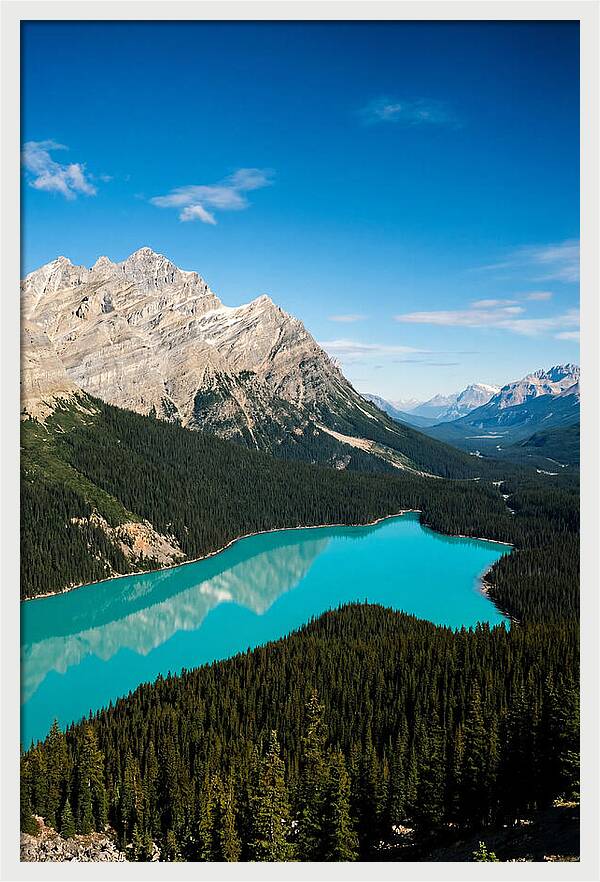 Peyto Lake Tranquility