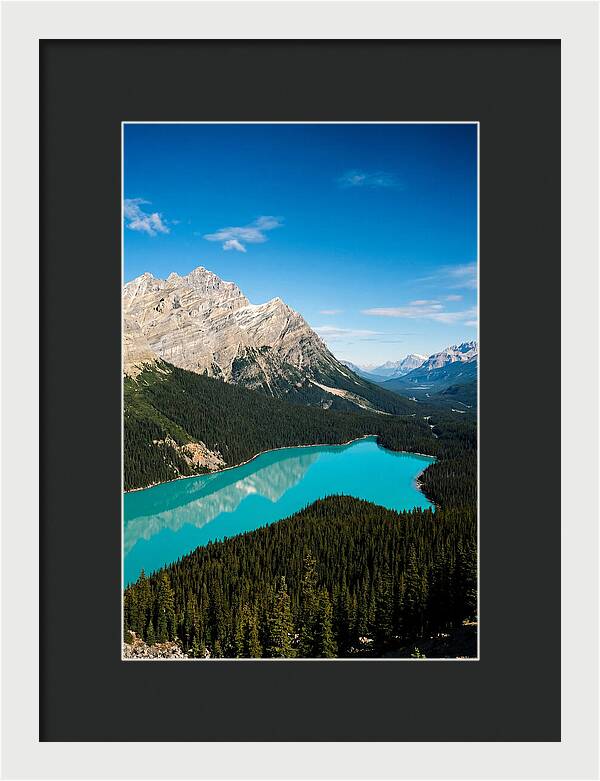 Peyto Lake Tranquility