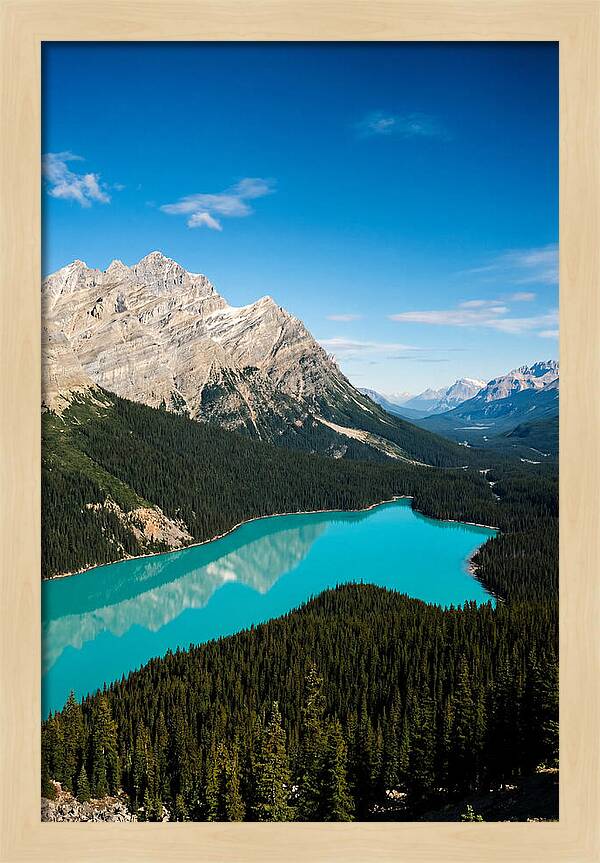 Peyto Lake Tranquility