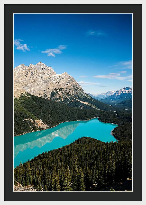 Peyto Lake Tranquility