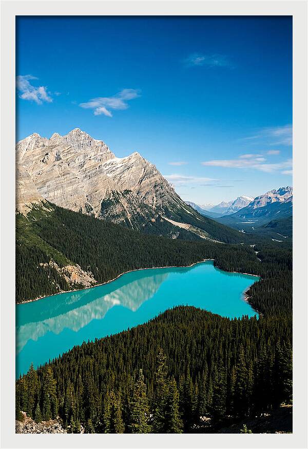 Peyto Lake Tranquility