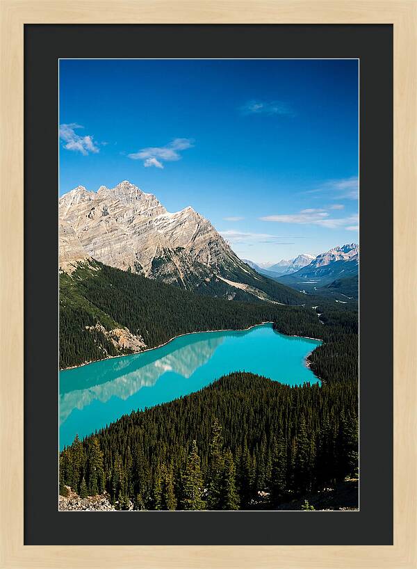 Peyto Lake Tranquility