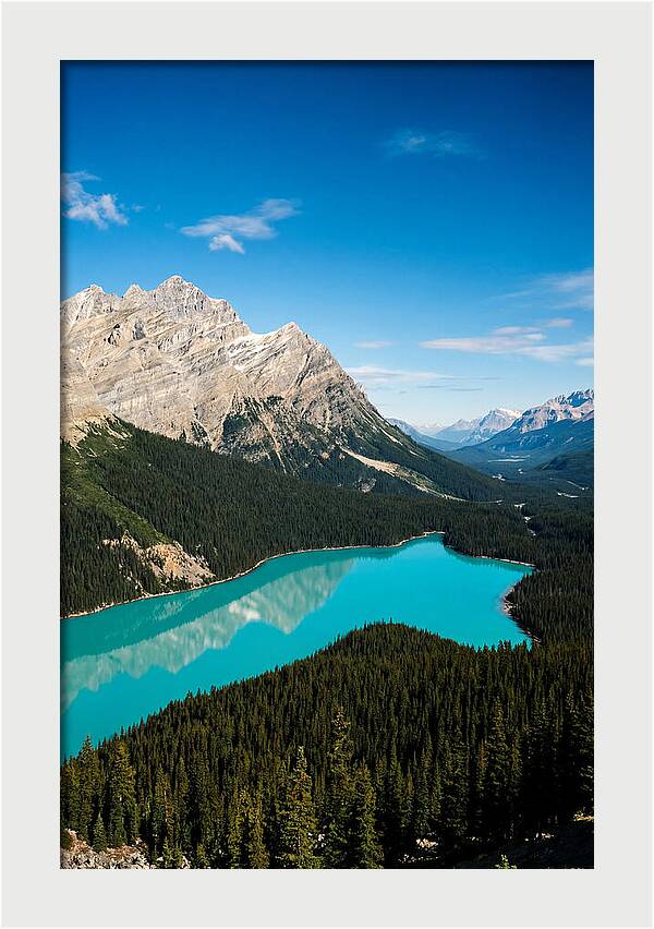 Peyto Lake Tranquility