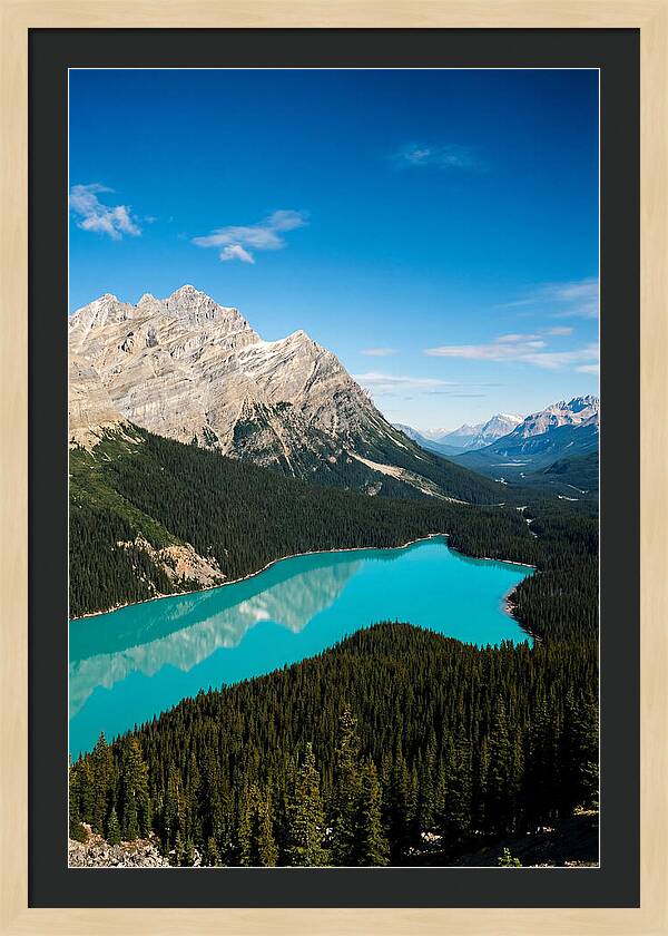 Peyto Lake Tranquility