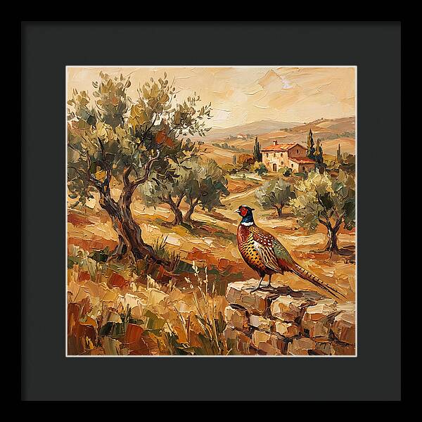 Pheasant In Mediterranean Landscape