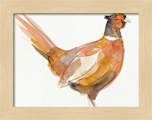 Pheasant In Watercolor Hues