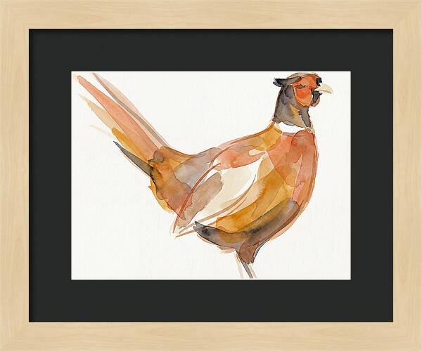 Pheasant In Watercolor Hues